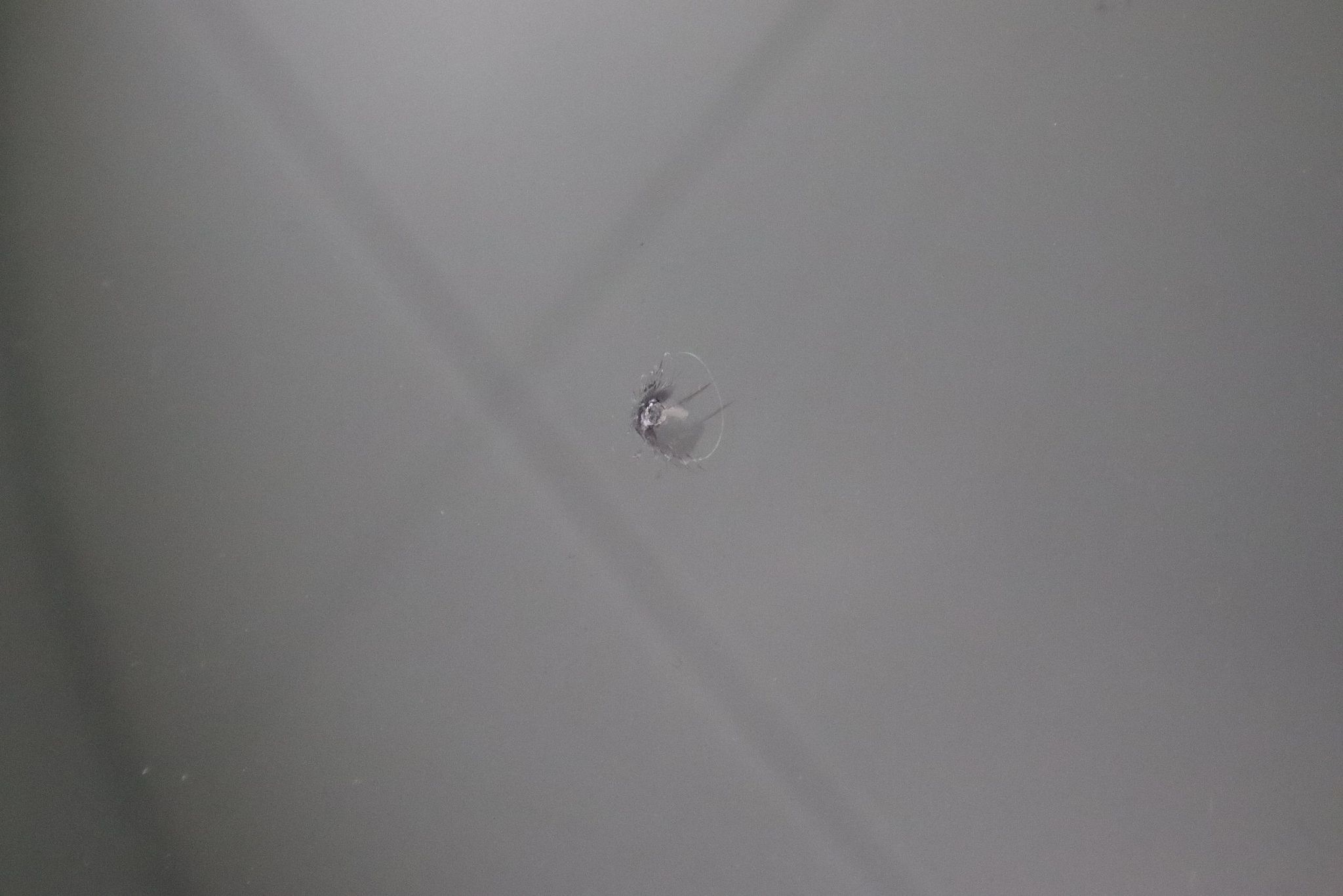 Image 18/53