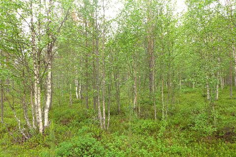 Image 6/21