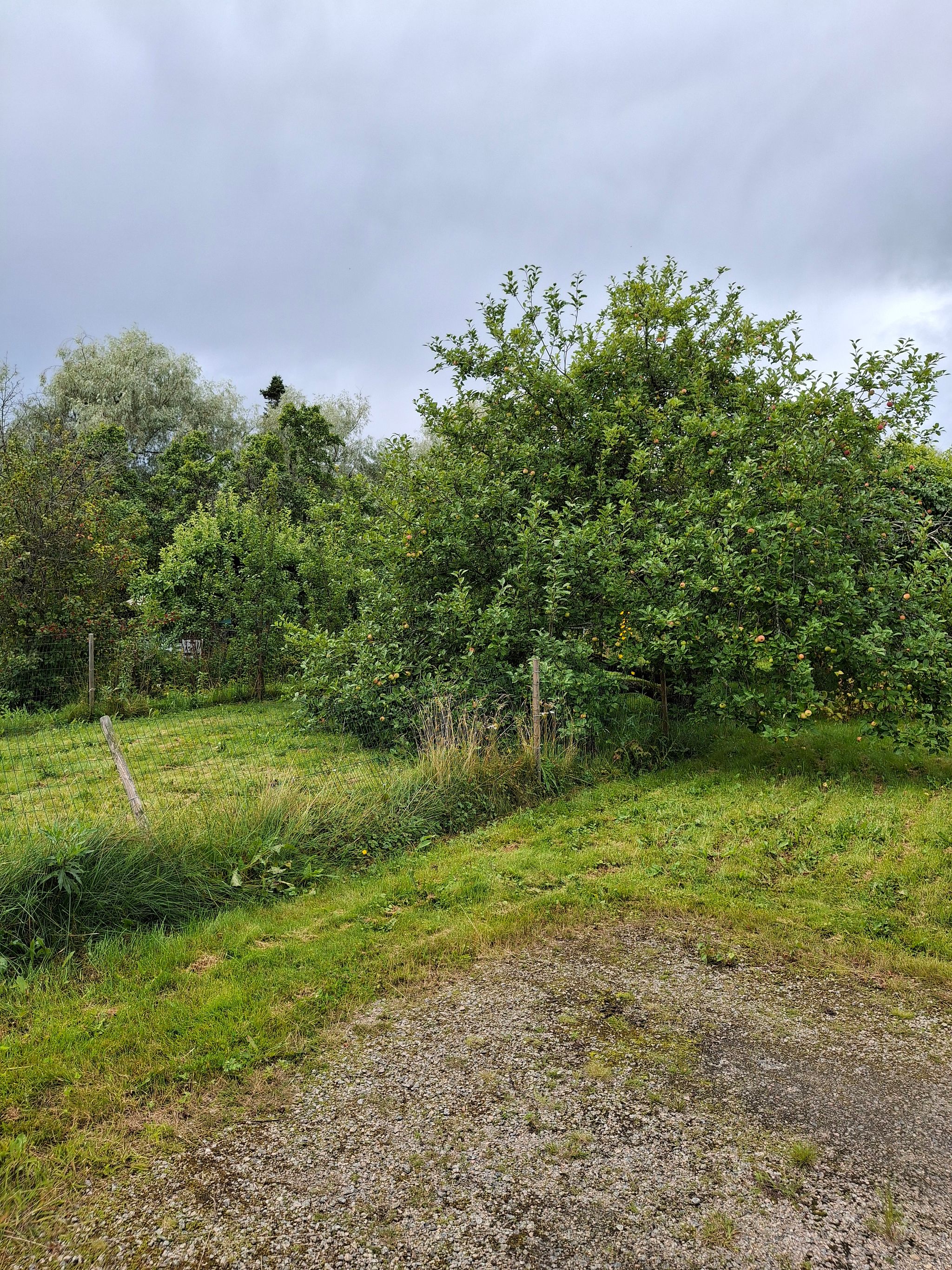 Image 34/70
