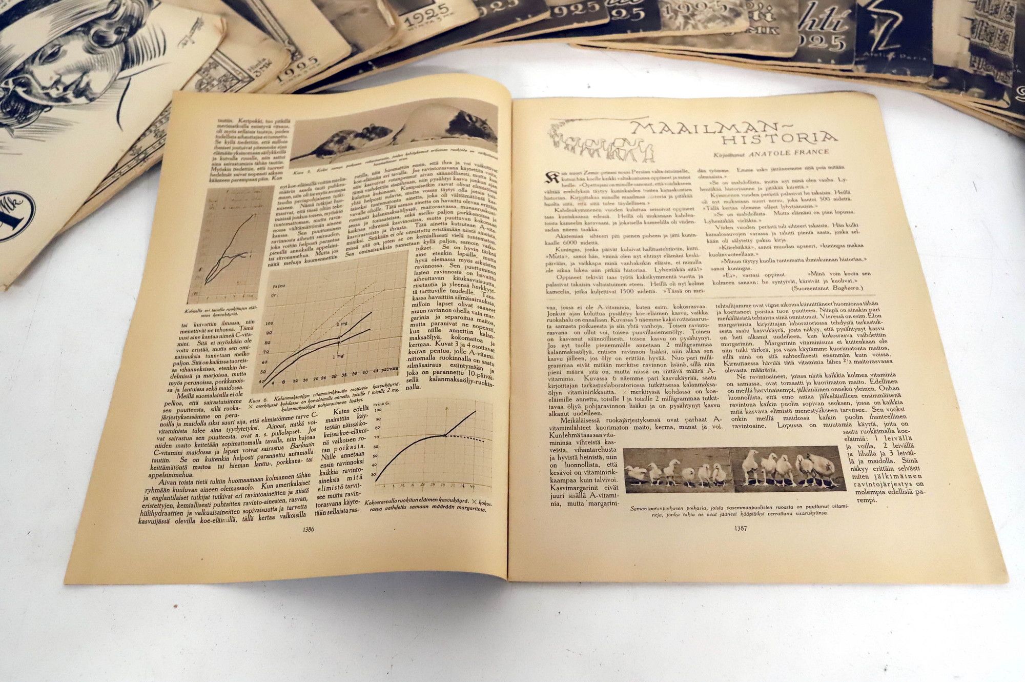 Kuva 46/119