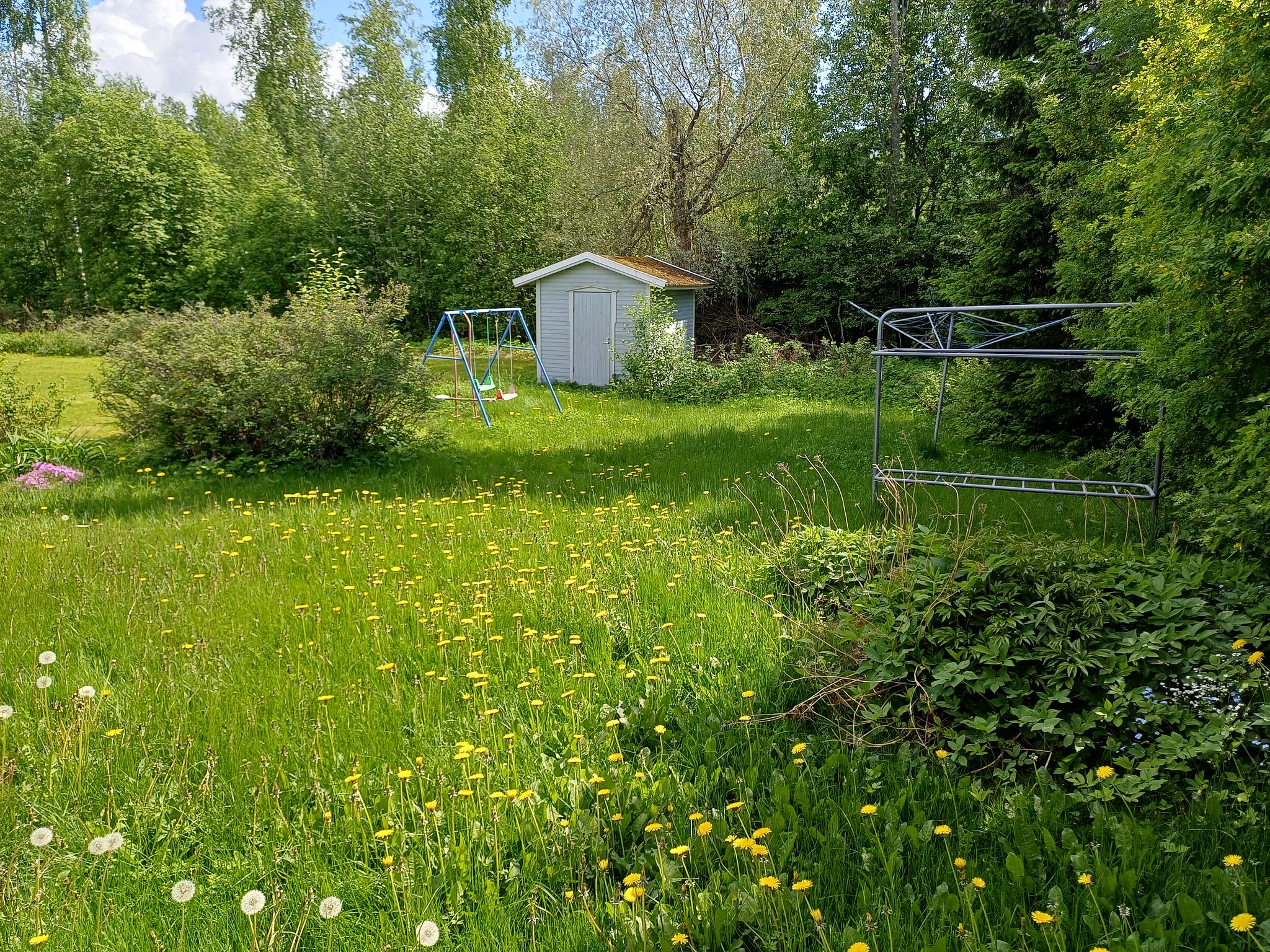 Image 8/53