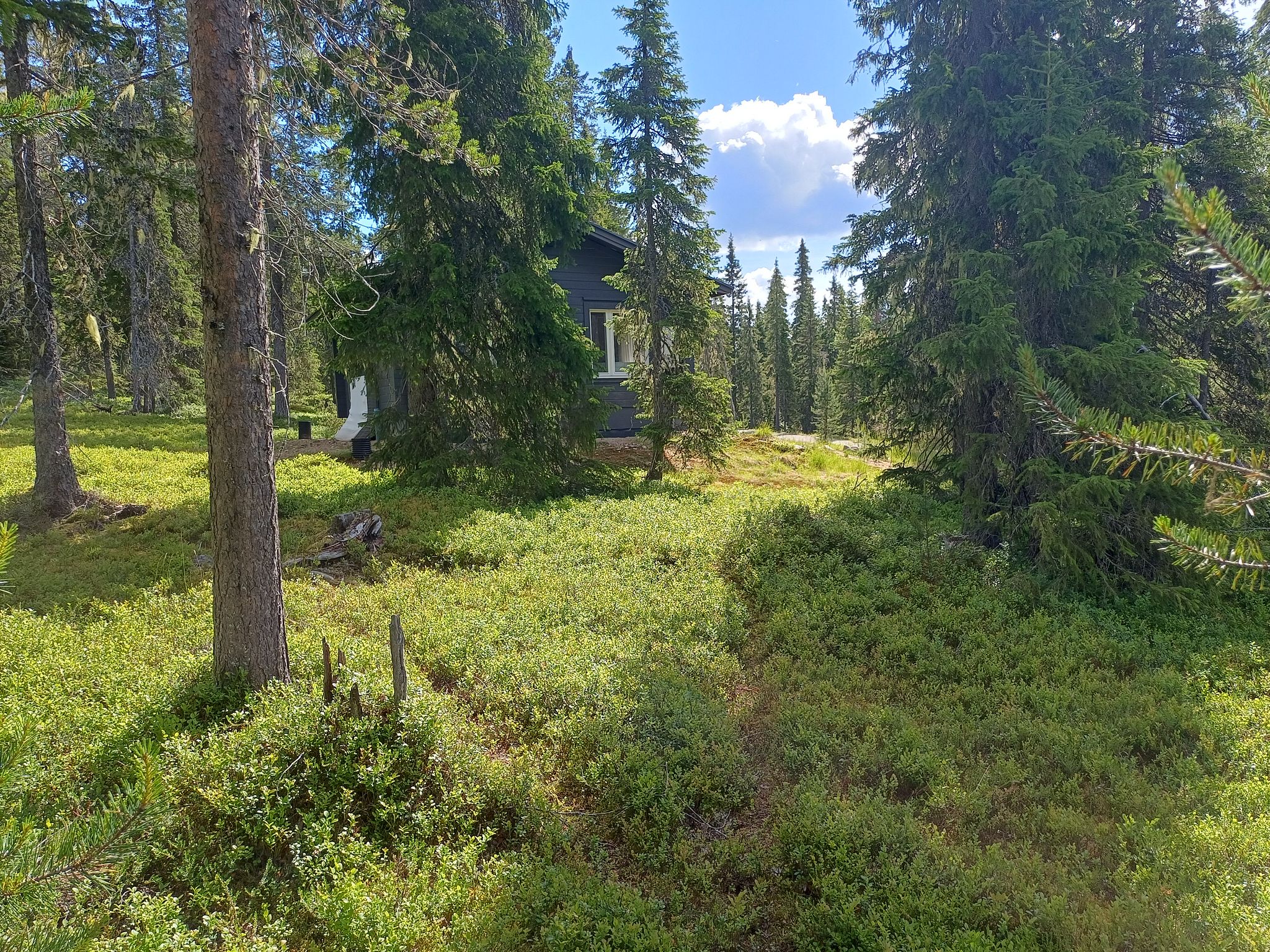Image 14/14
