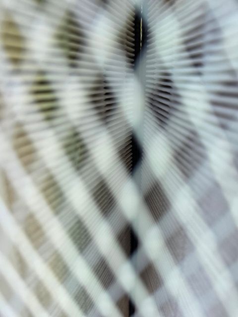 Image 7/10