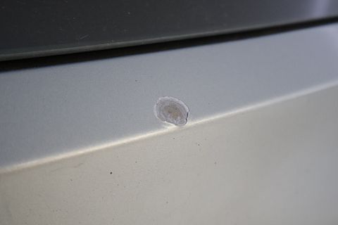 Image 39/56