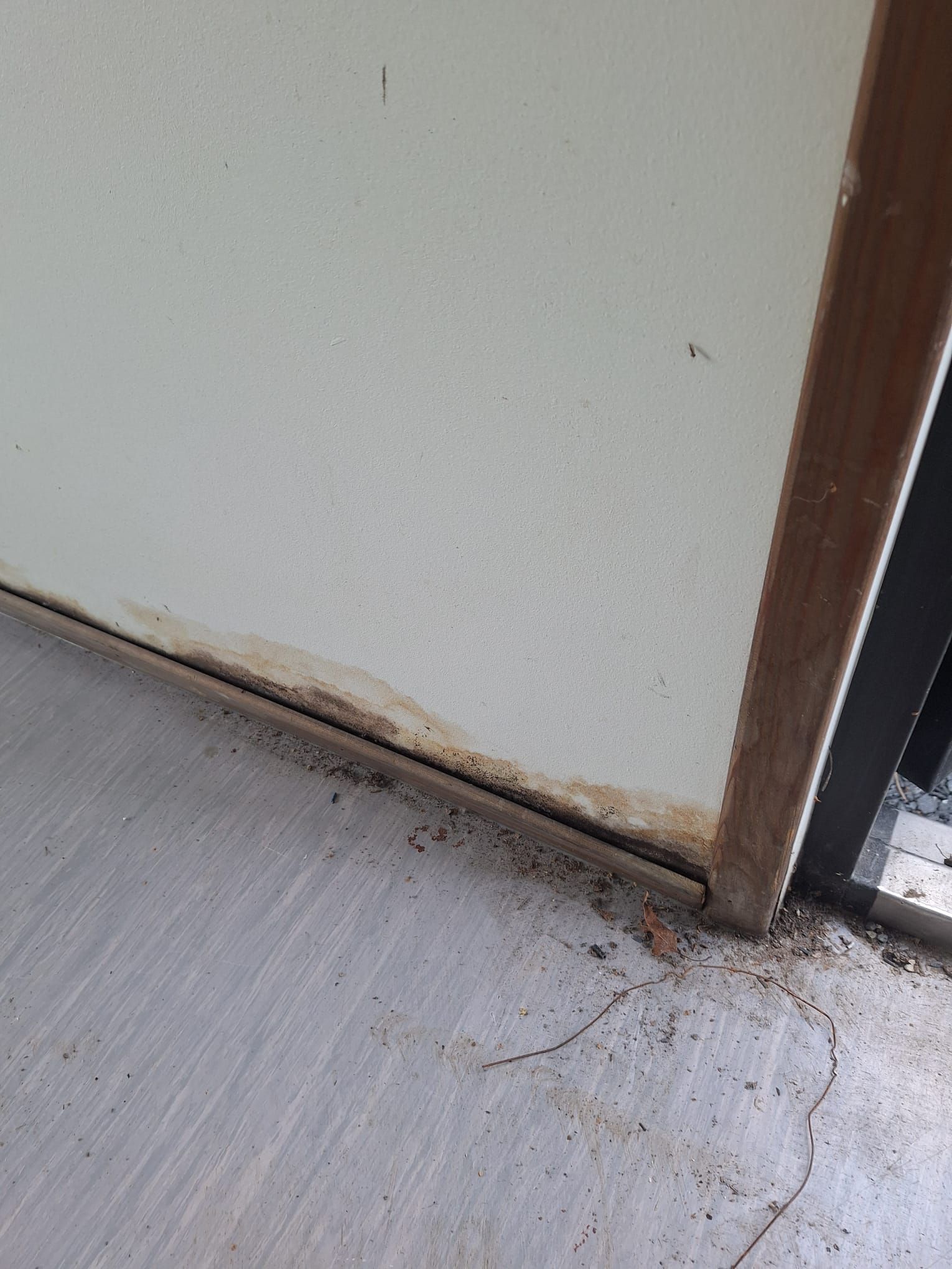 Image 7/10