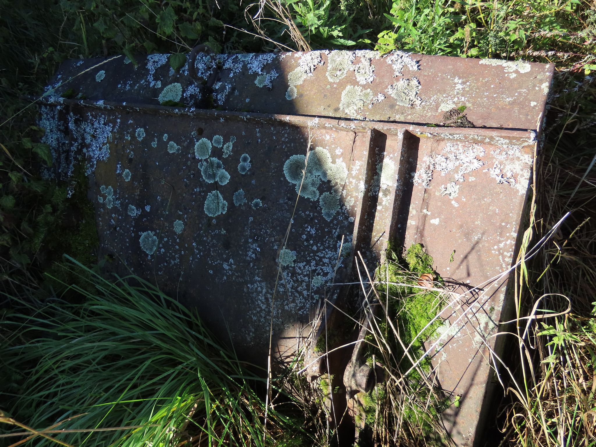 Image 12/12