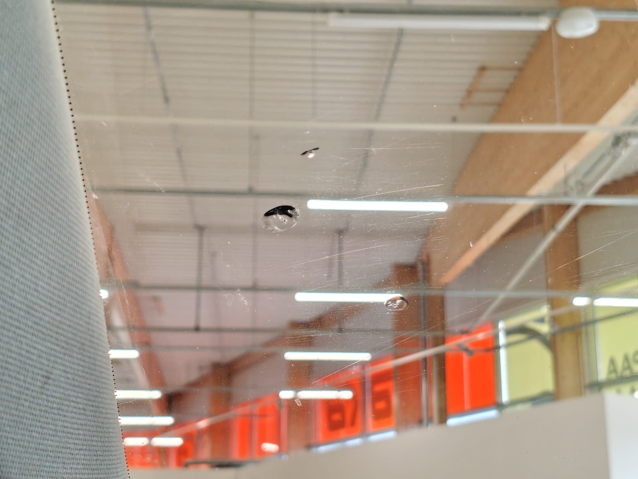 Image 37/50