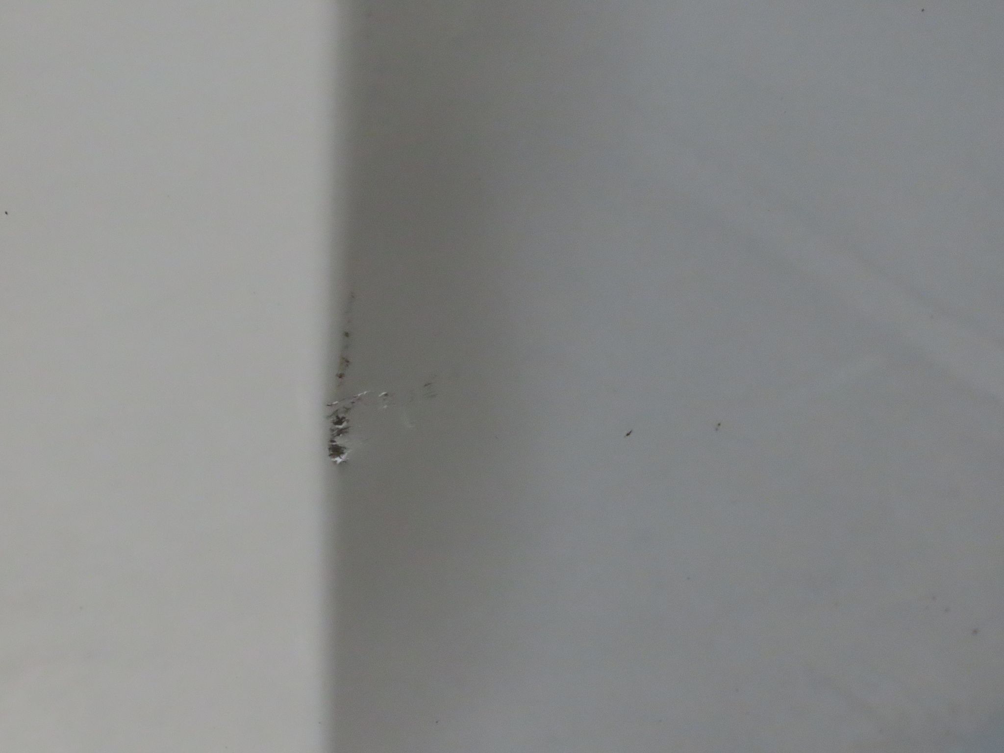 Image 7/8