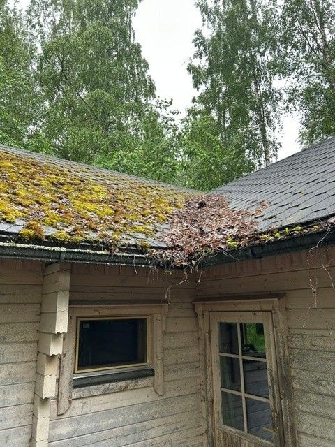 Image 6/41