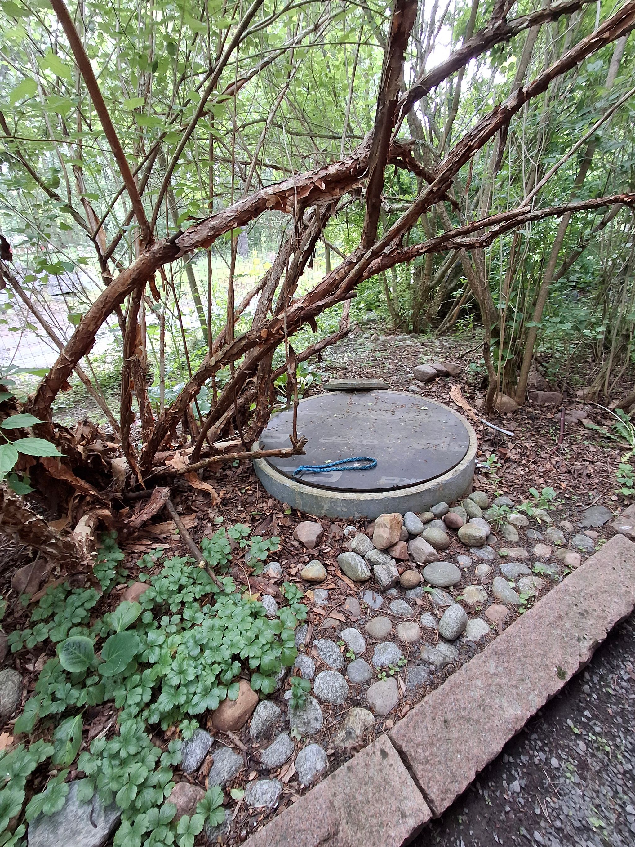Image 5/60