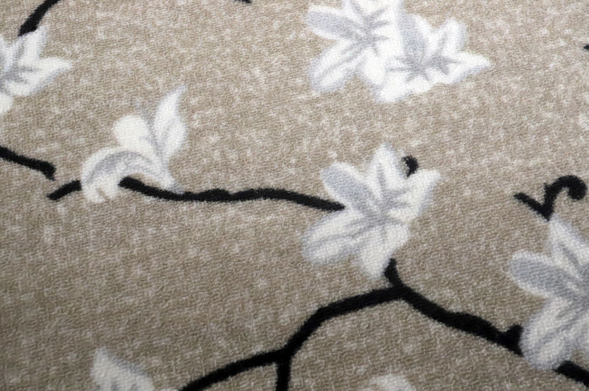 Image 5/18