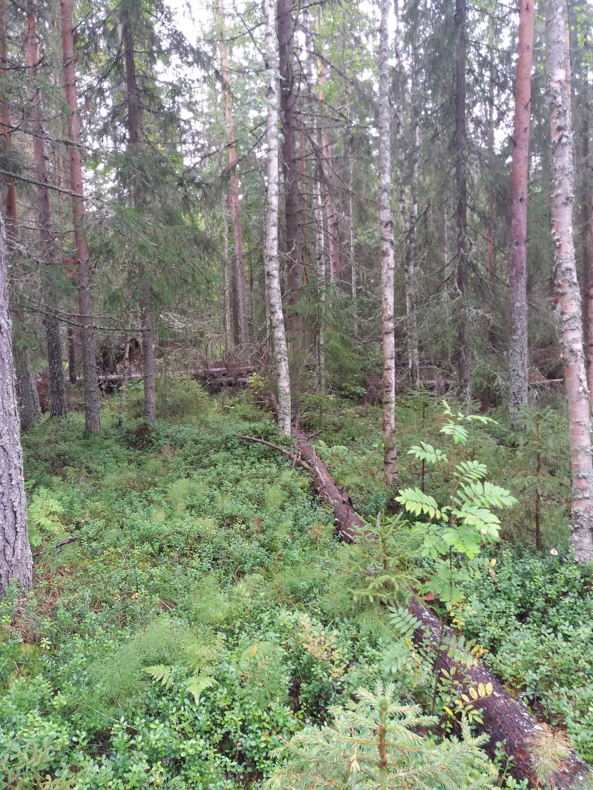 Image 10/21