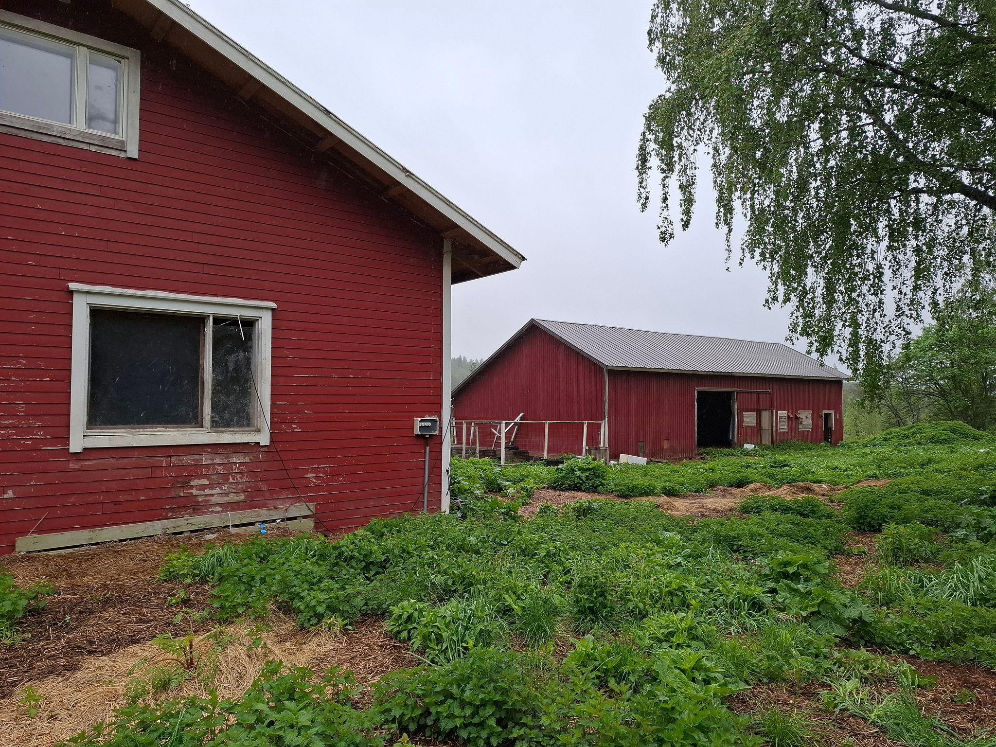 Image 8/40