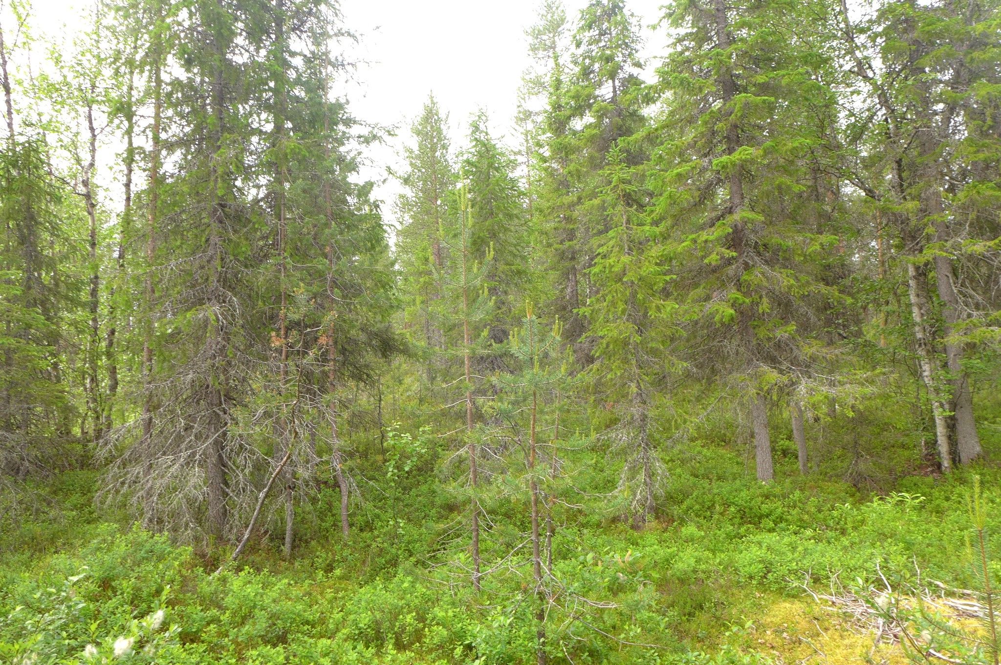 Image 47/51