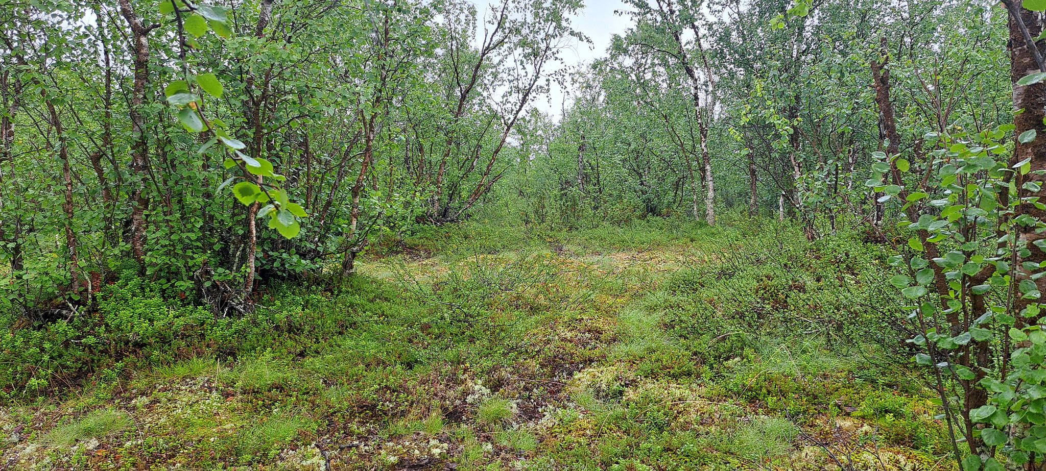 Image 10/18