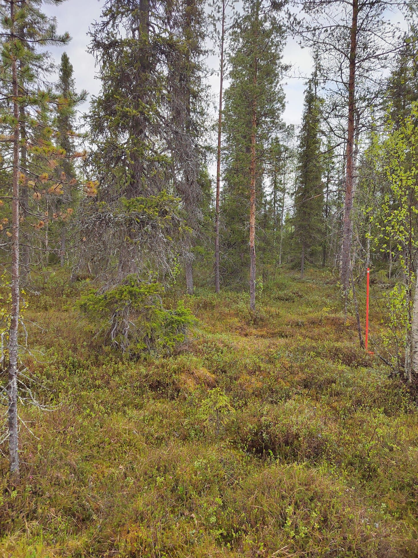 Image 9/15