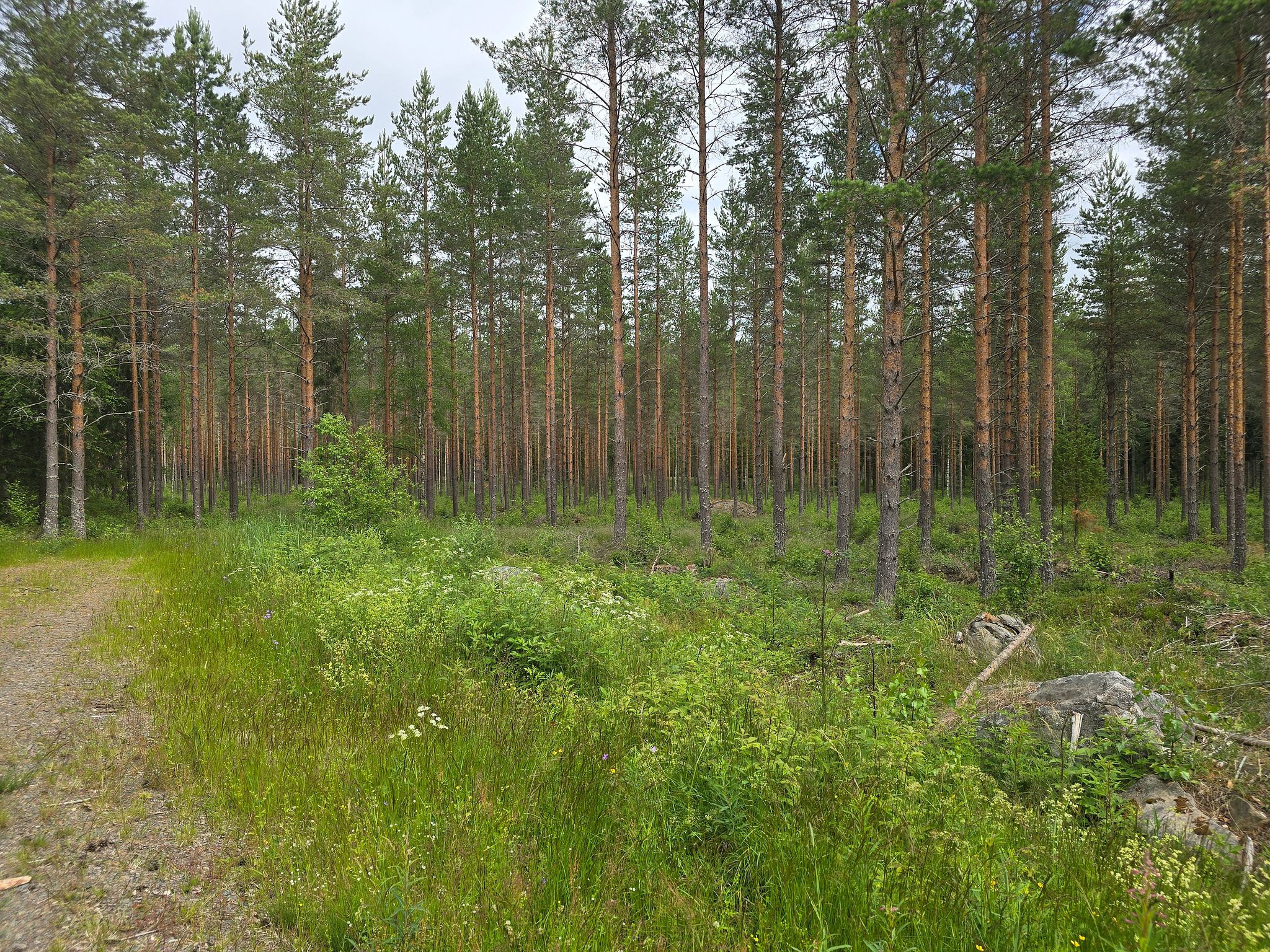 Image 1/20