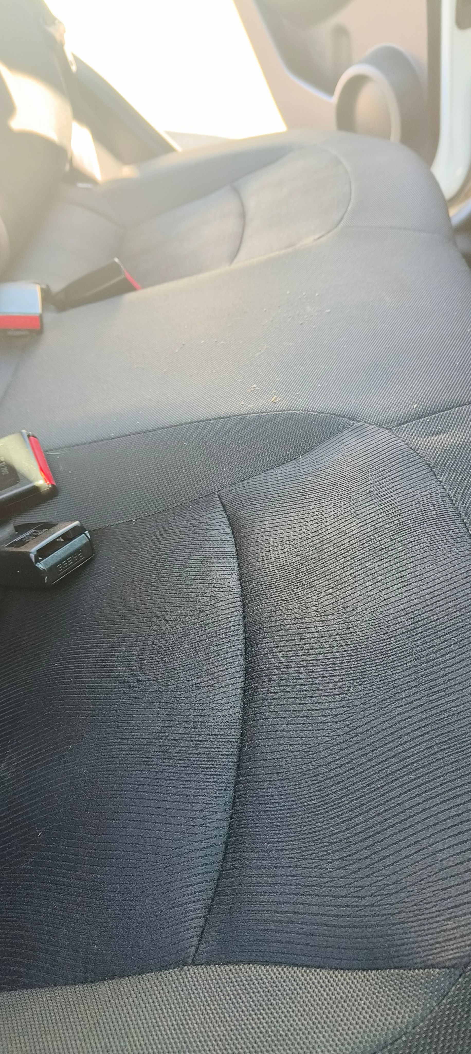 Image 10/10