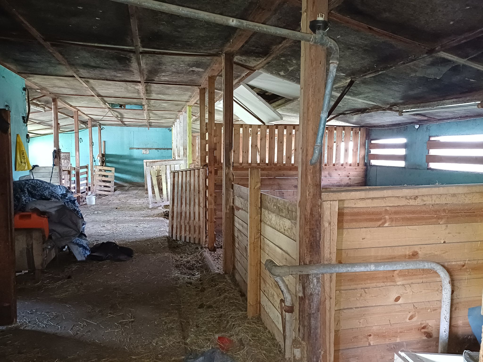Image 12/15
