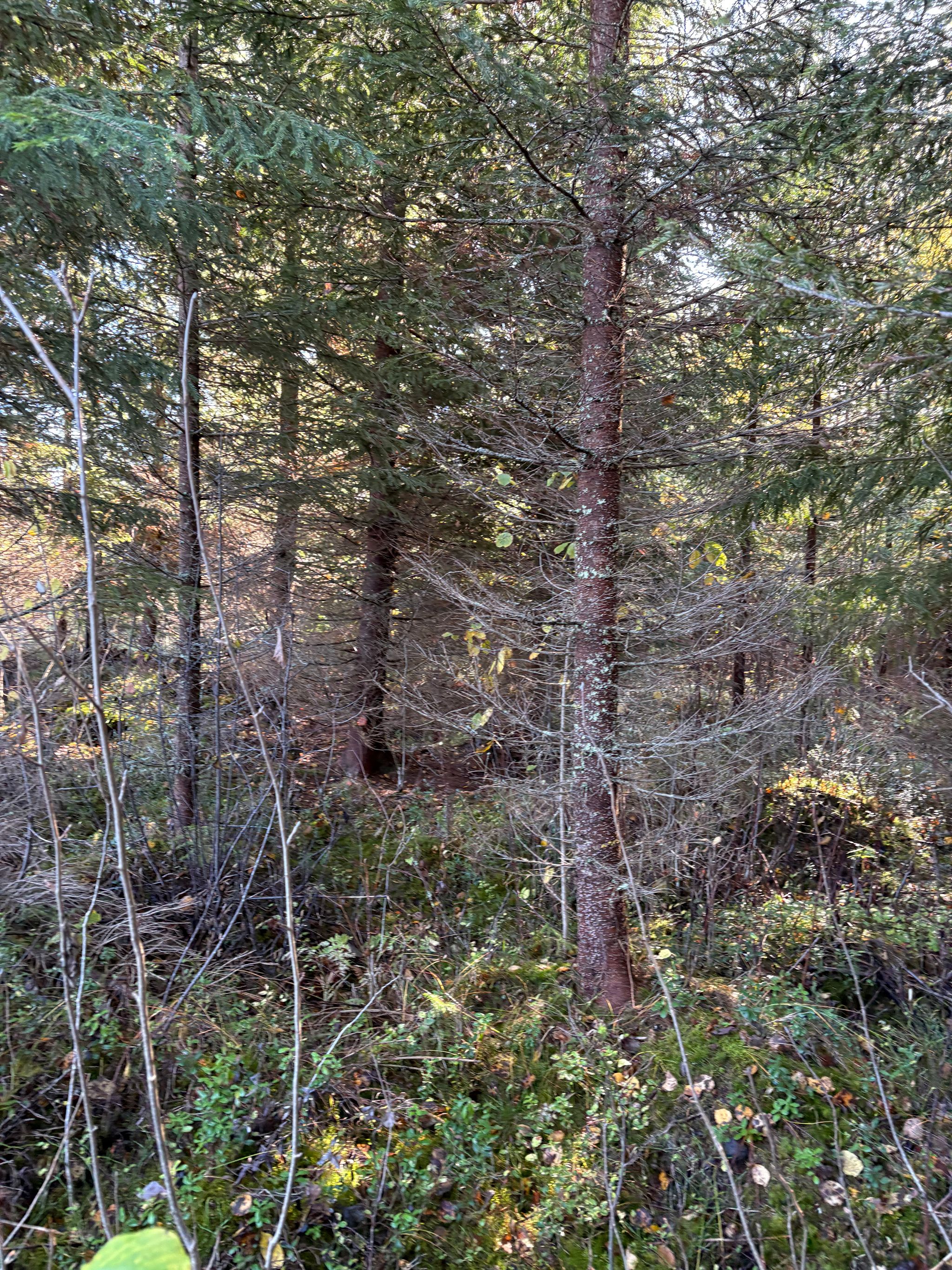 Image 19/30