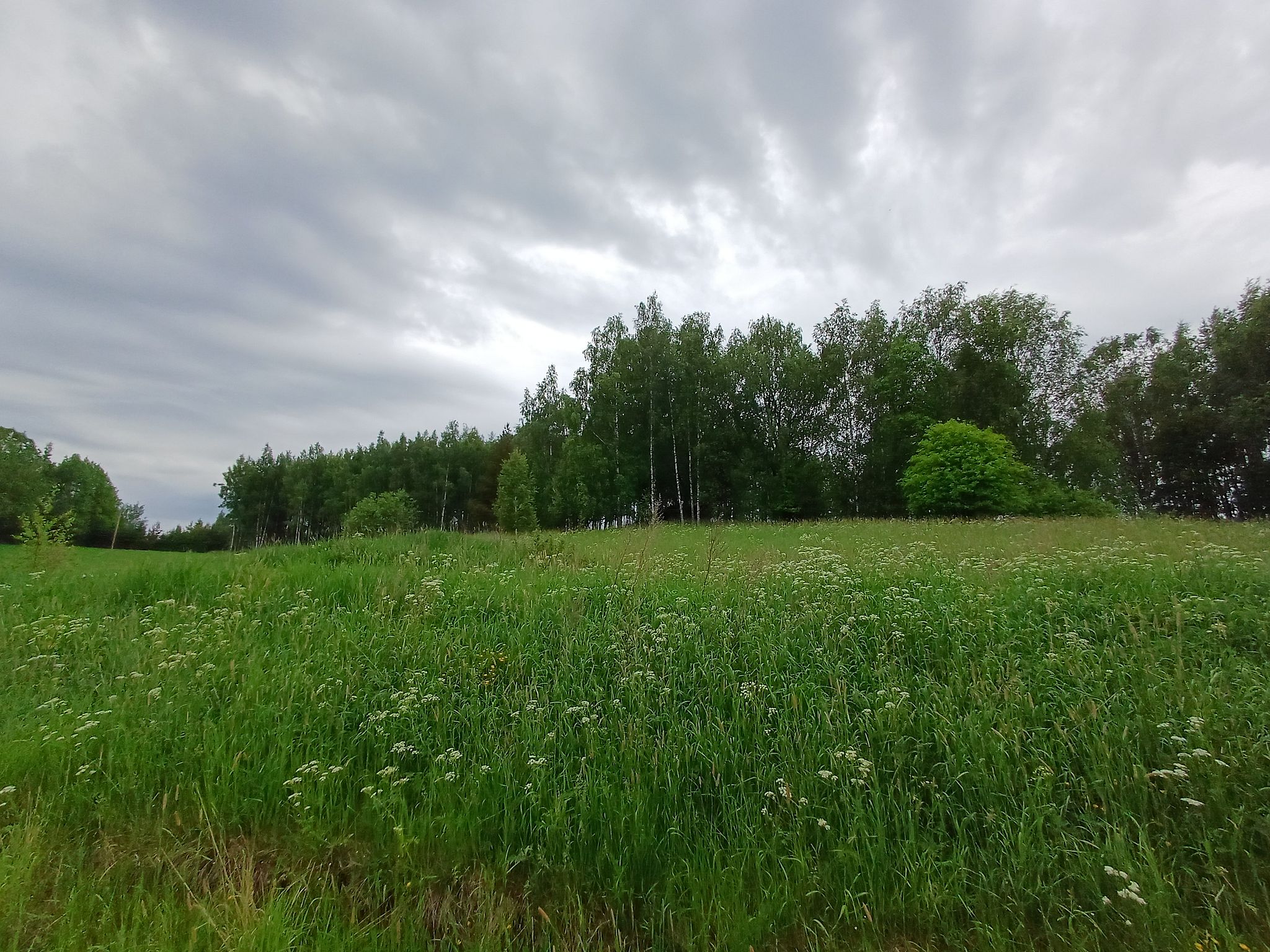 Image 12/12