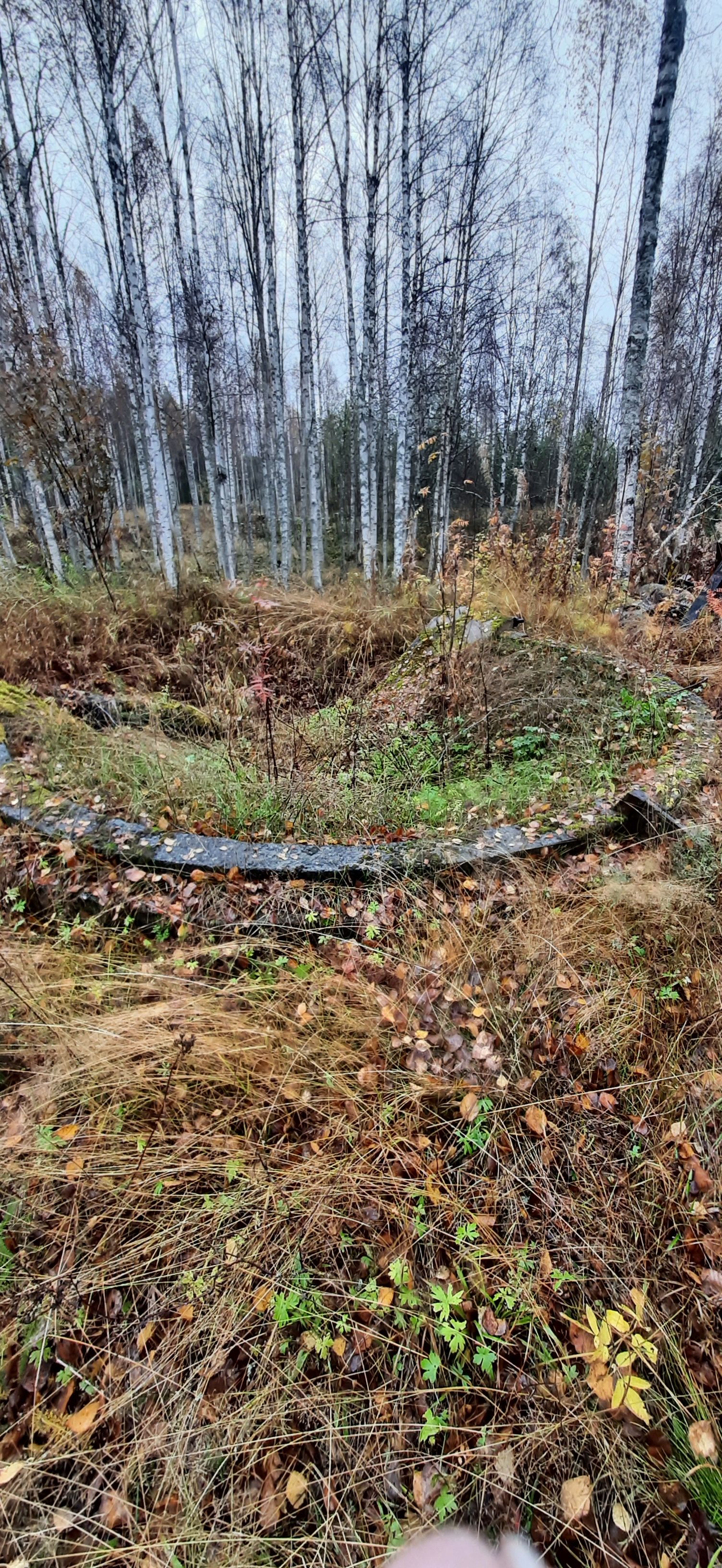 Image 35/46