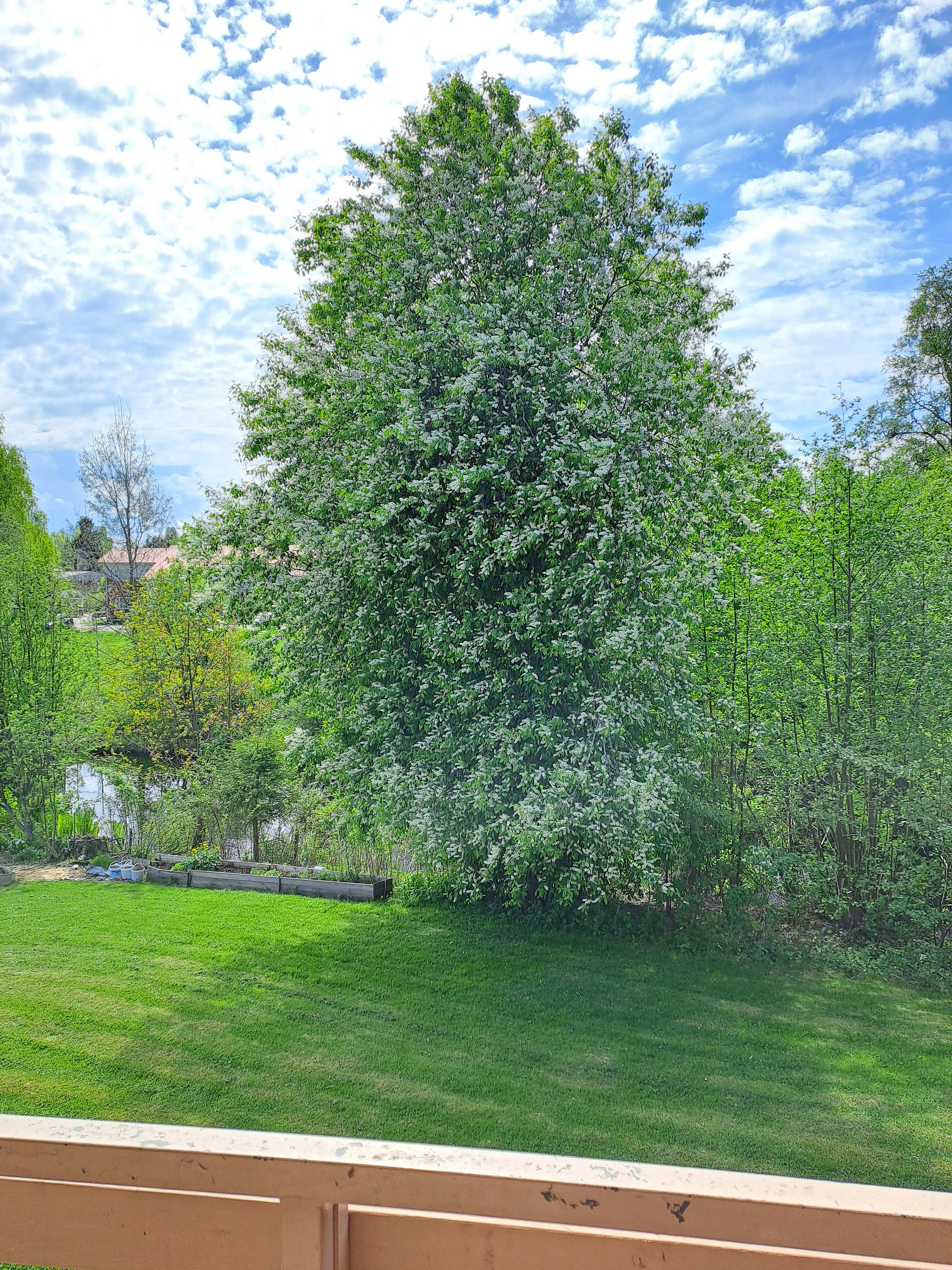 Image 35/68