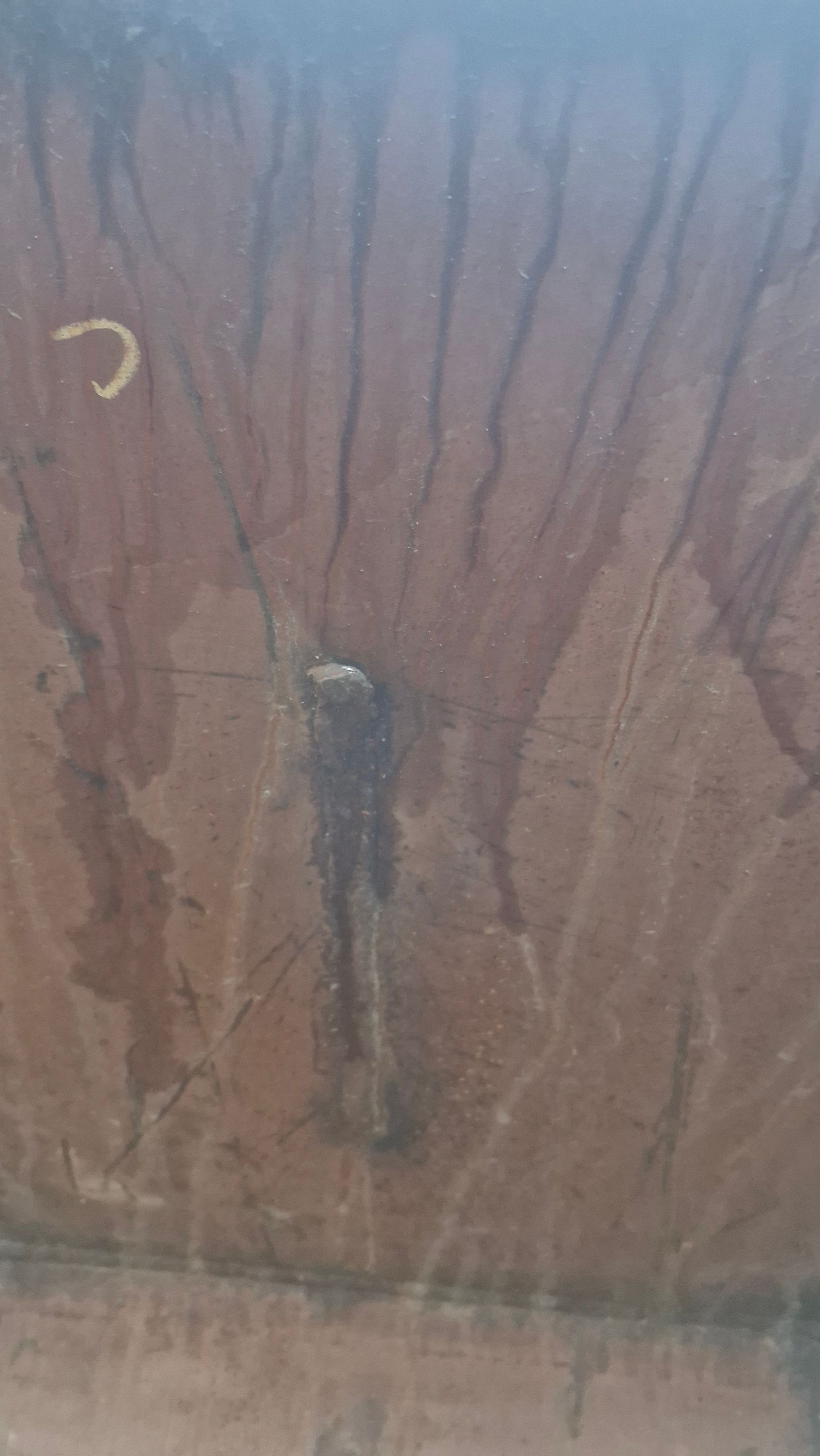 Image 7/10
