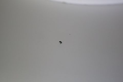 Image 45/56
