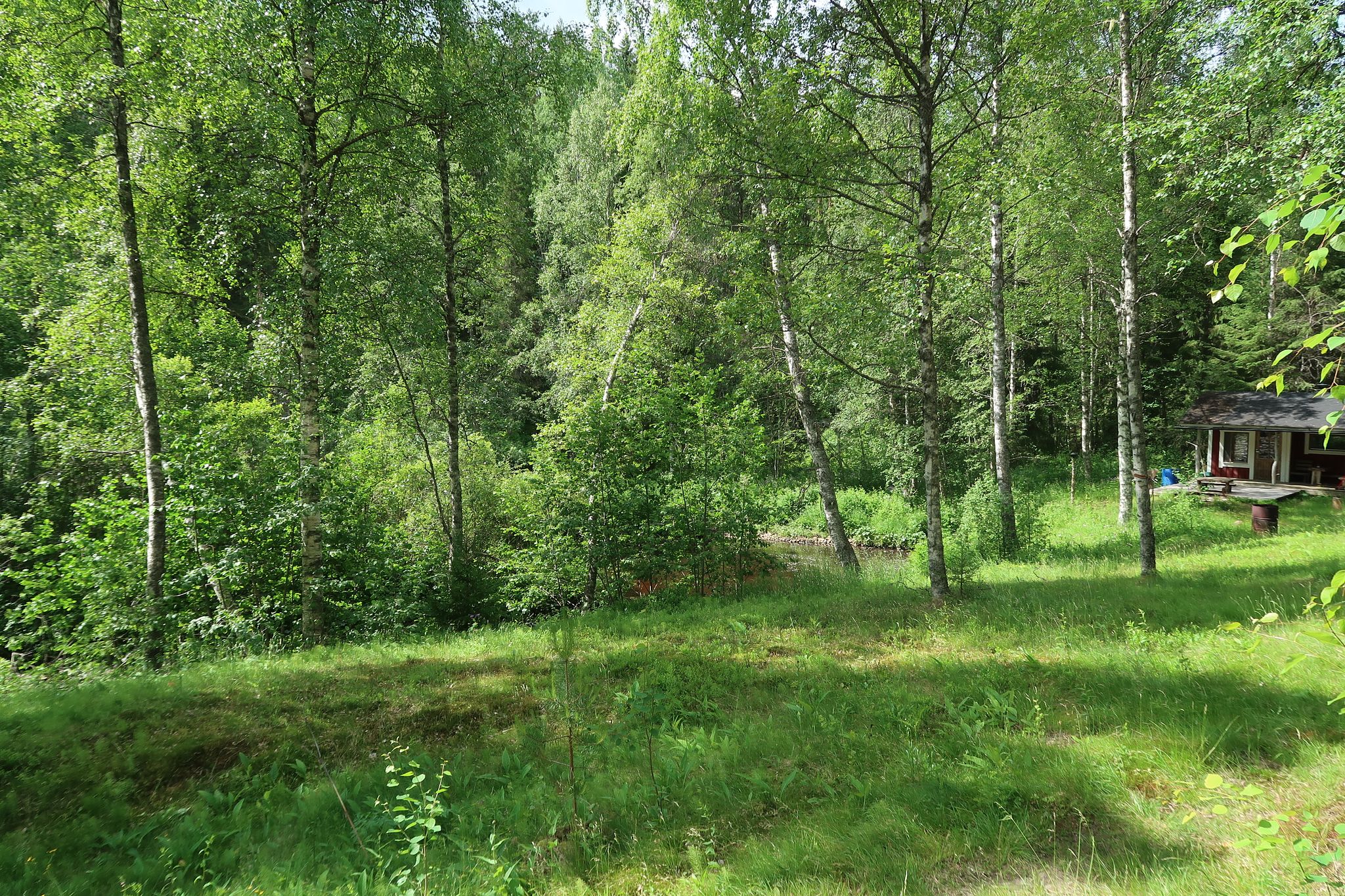 Image 20/25