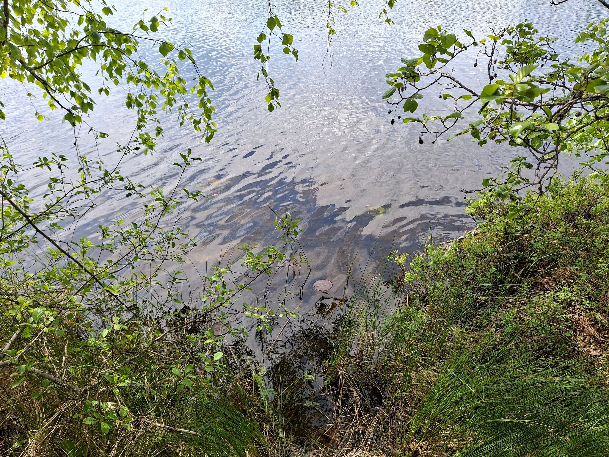 Image 12/17