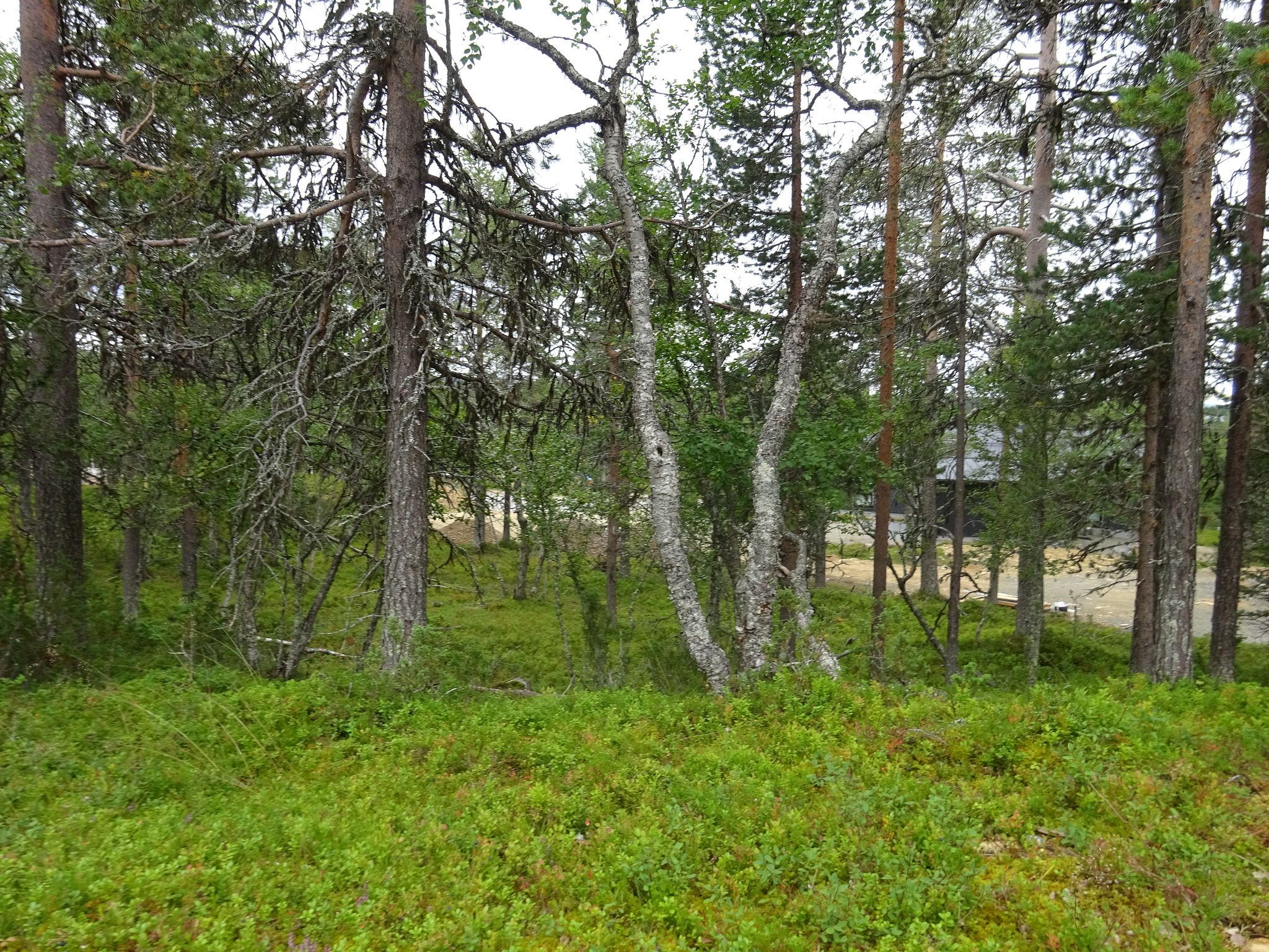 Image 4/9