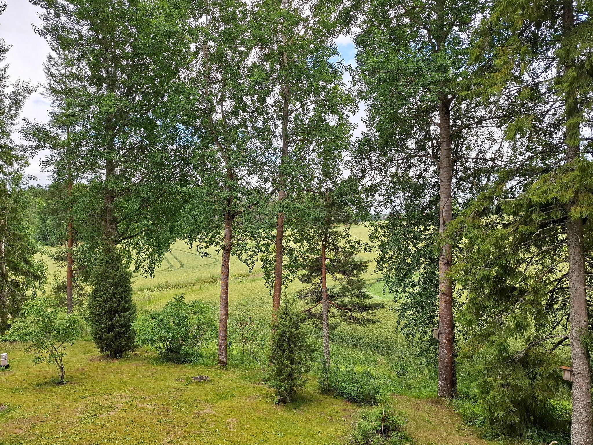 Image 45/48