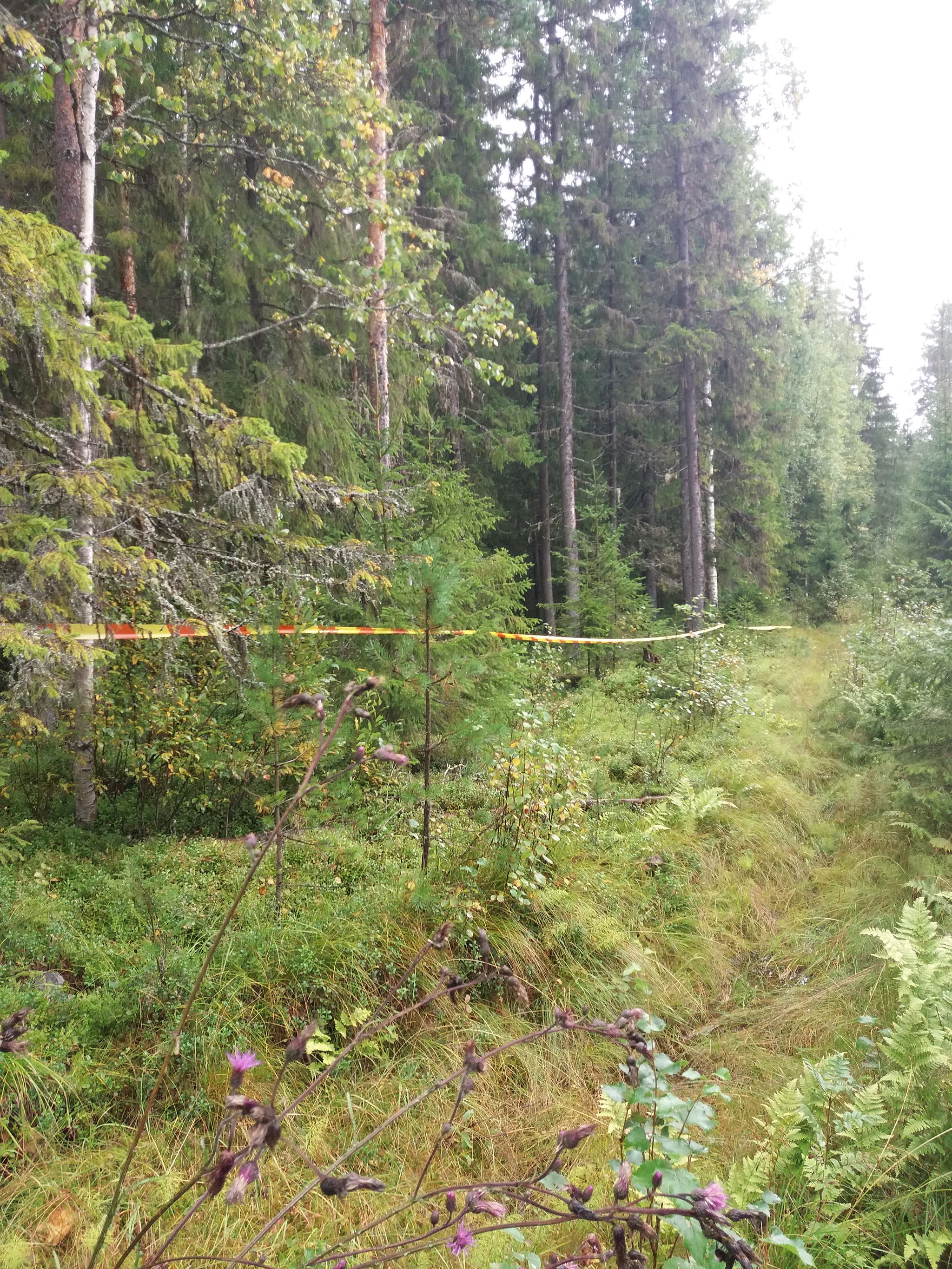 Image 9/21