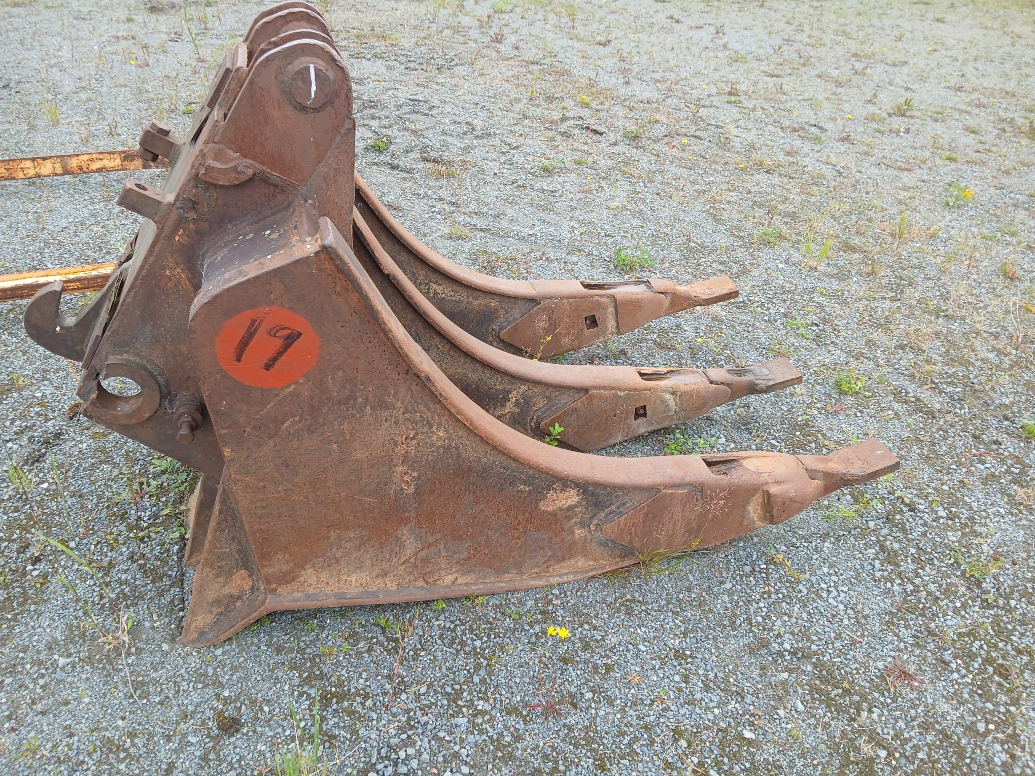 Image 1/11
