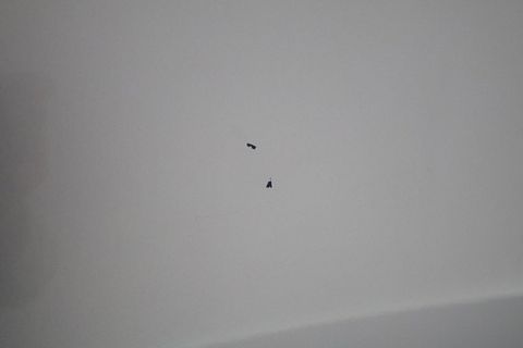 Image 34/47