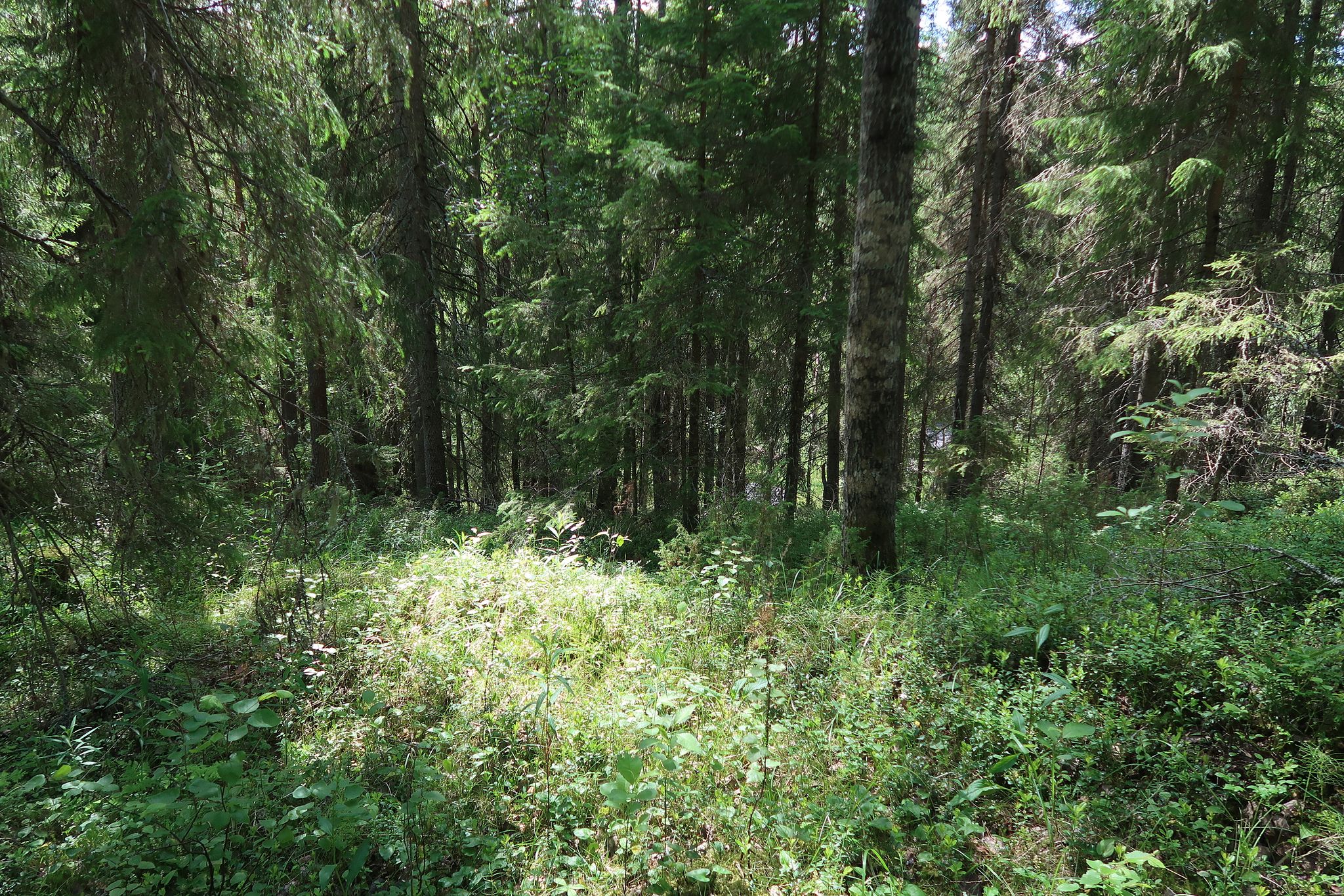 Image 25/25