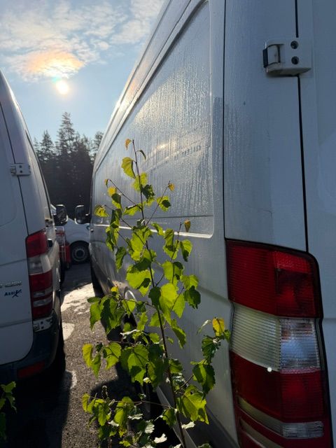 Image 8/10