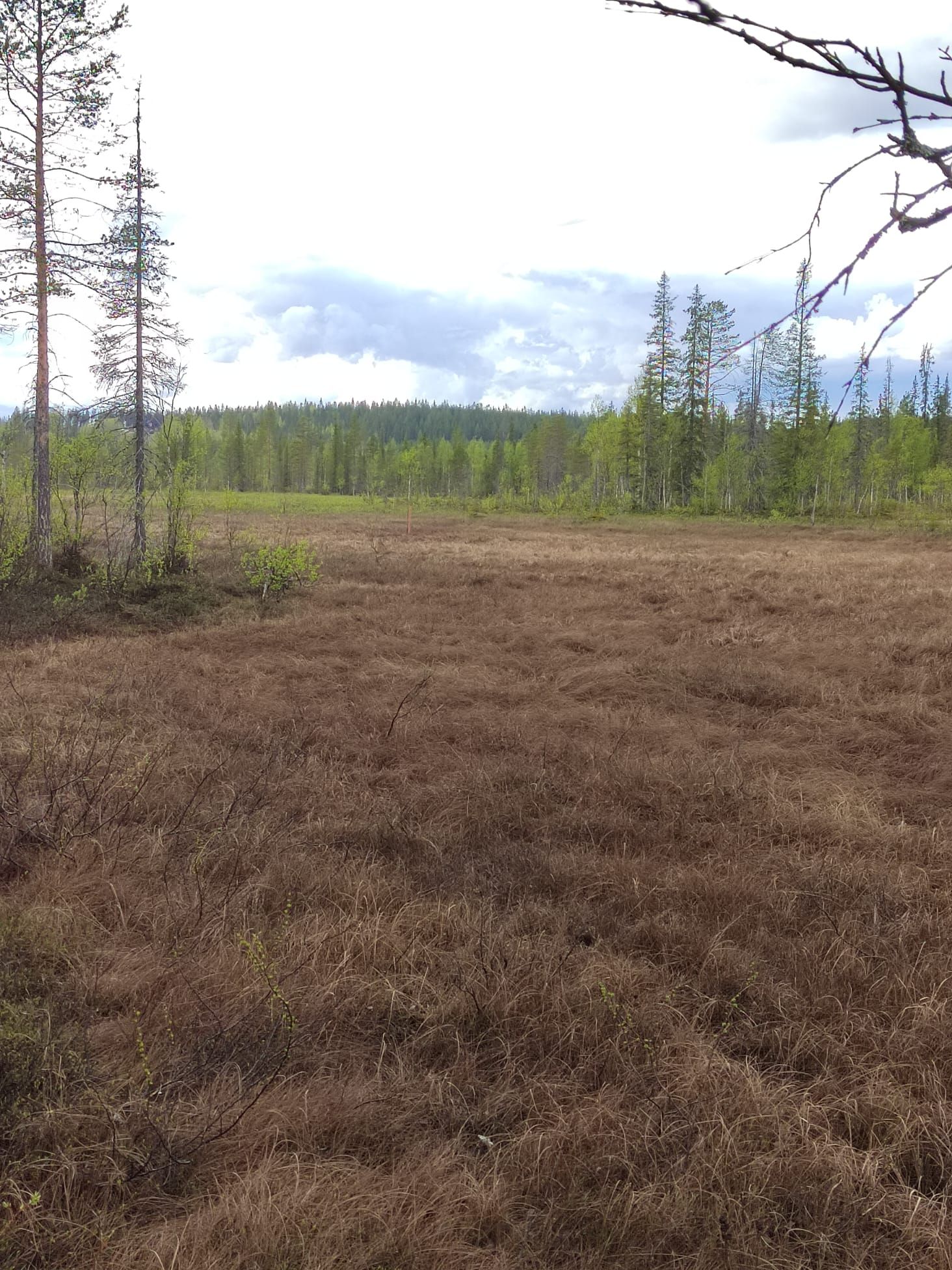 Image 7/15