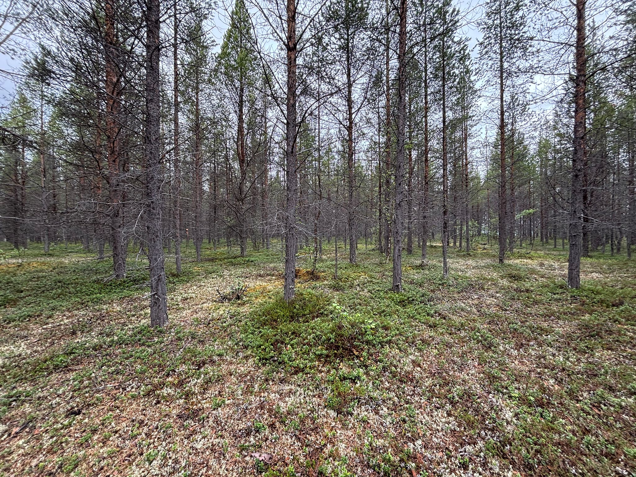 Image 5/12