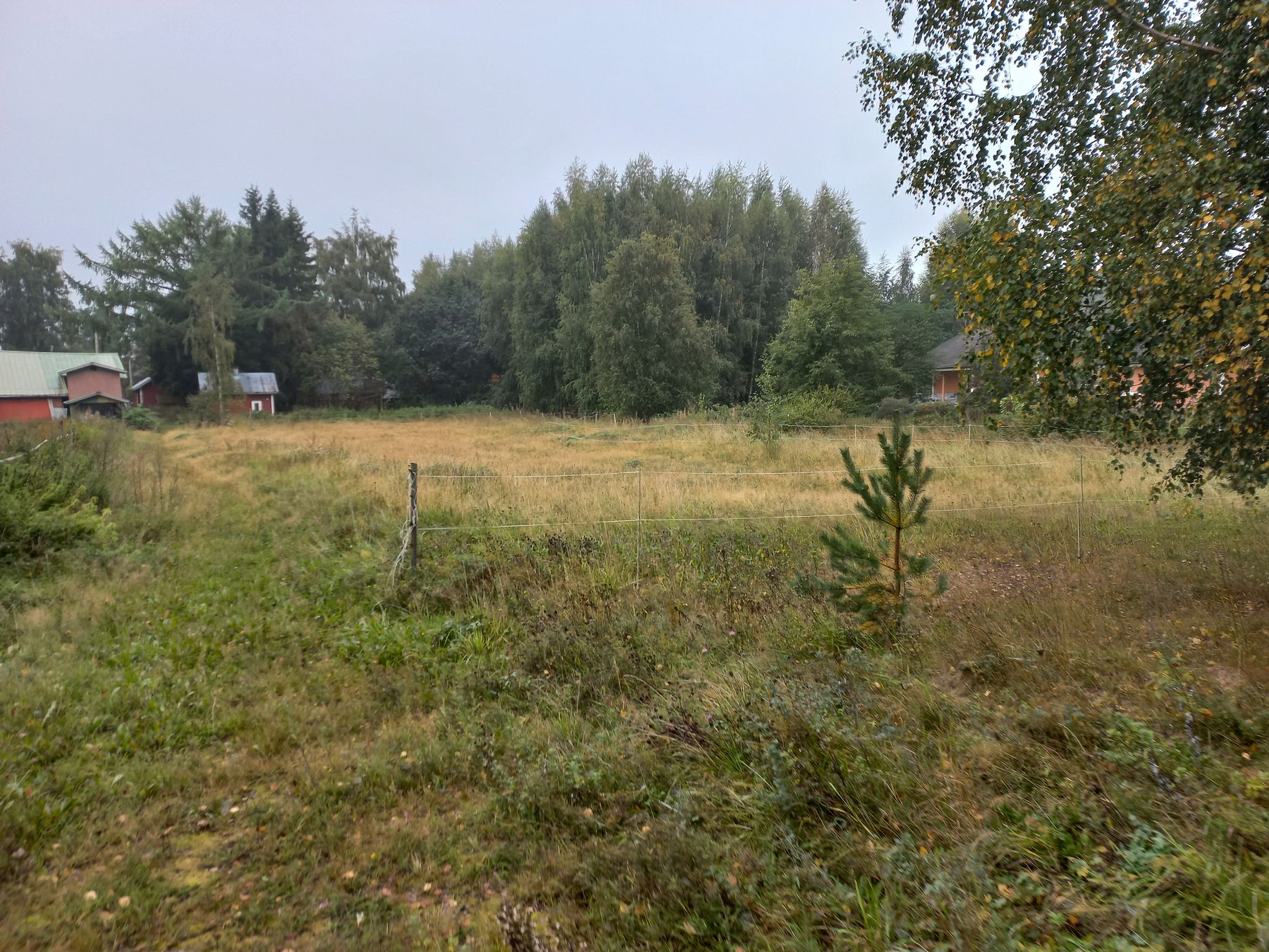 Image 56/57