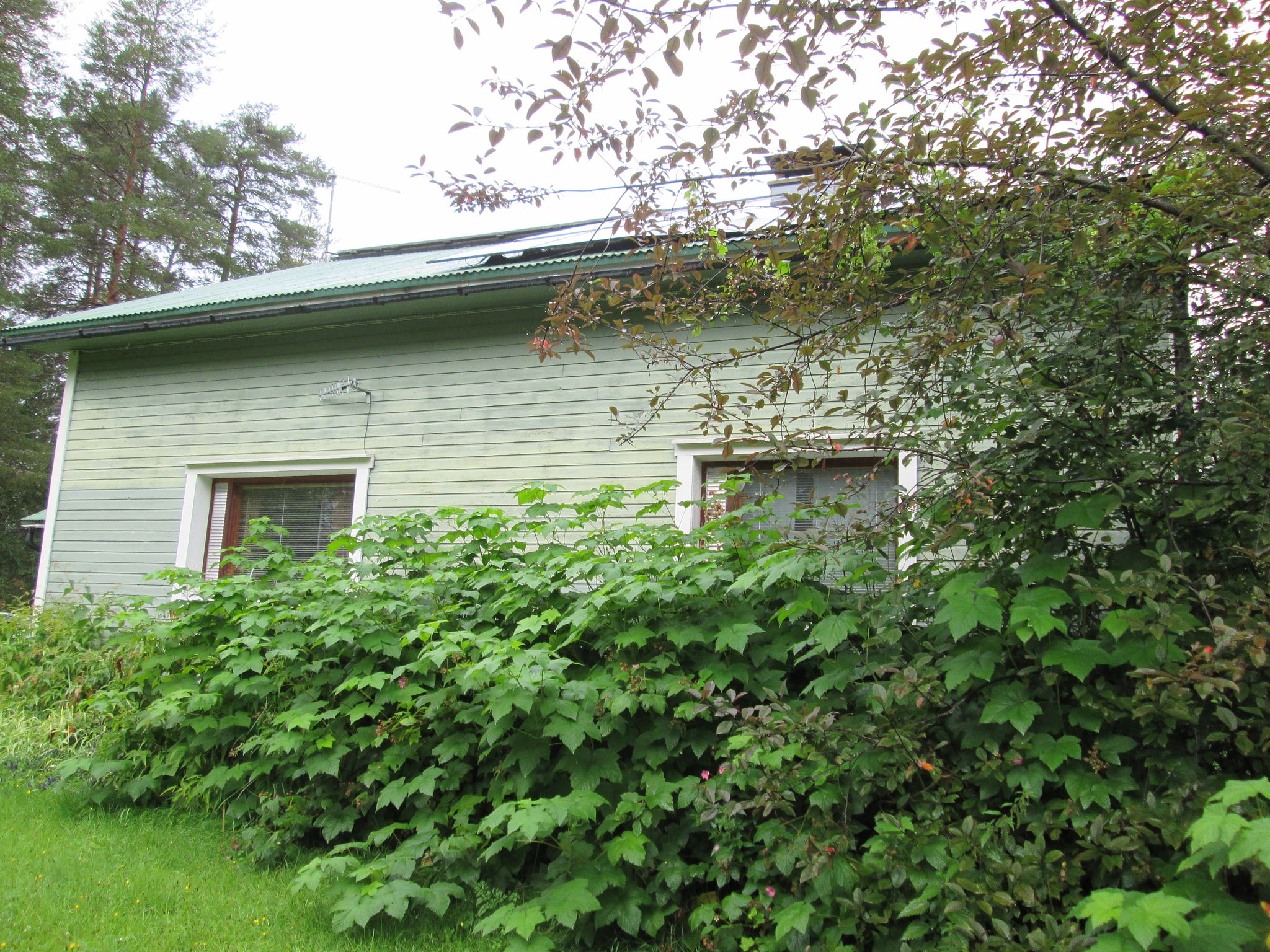 Image 3/33
