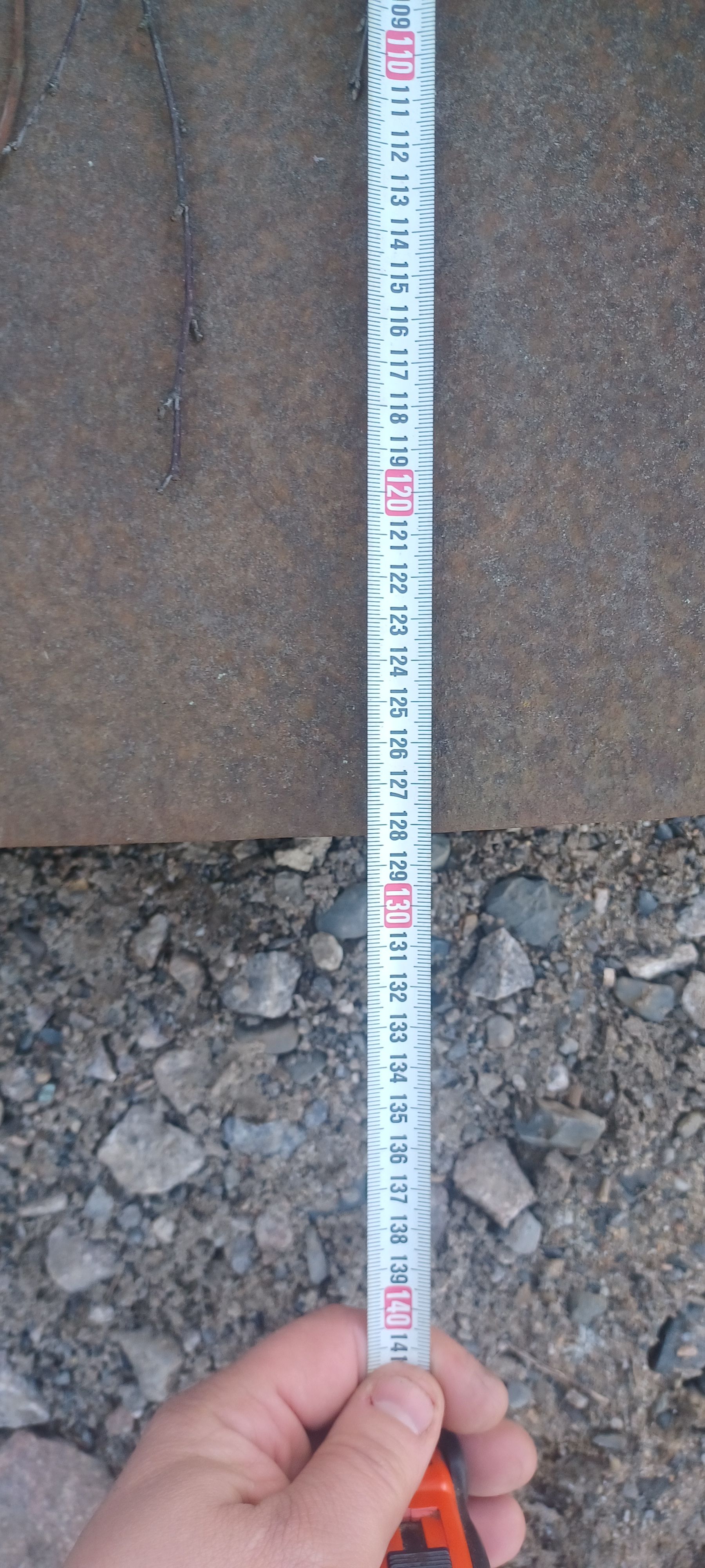 Image 8/10