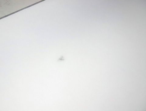 Image 7/15