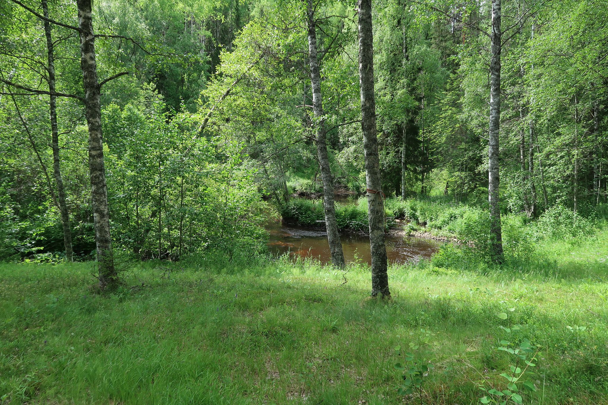 Image 21/25