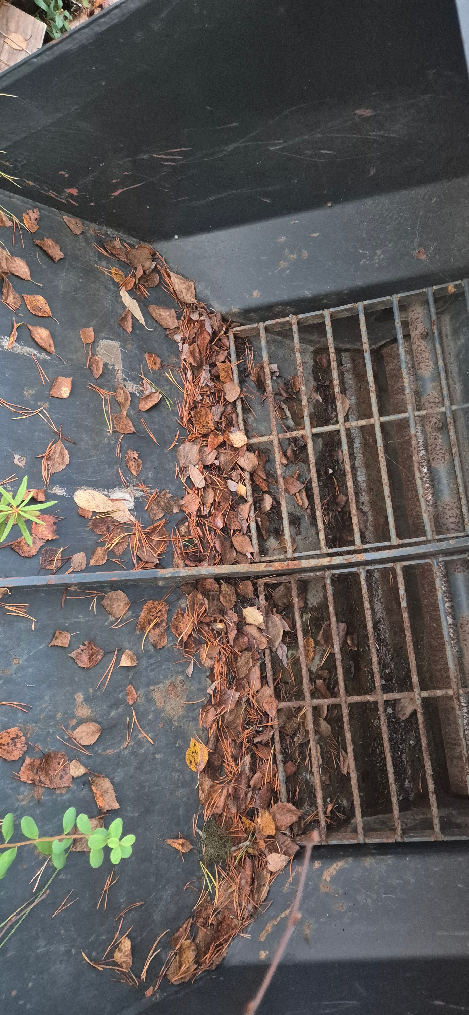 Image 3/4
