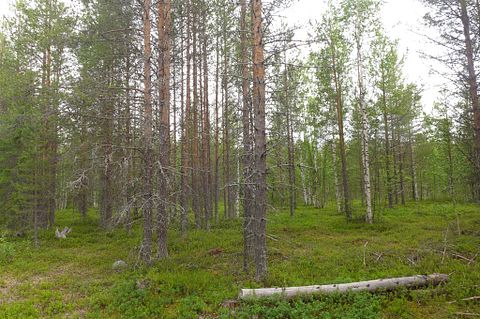 Image 4/21