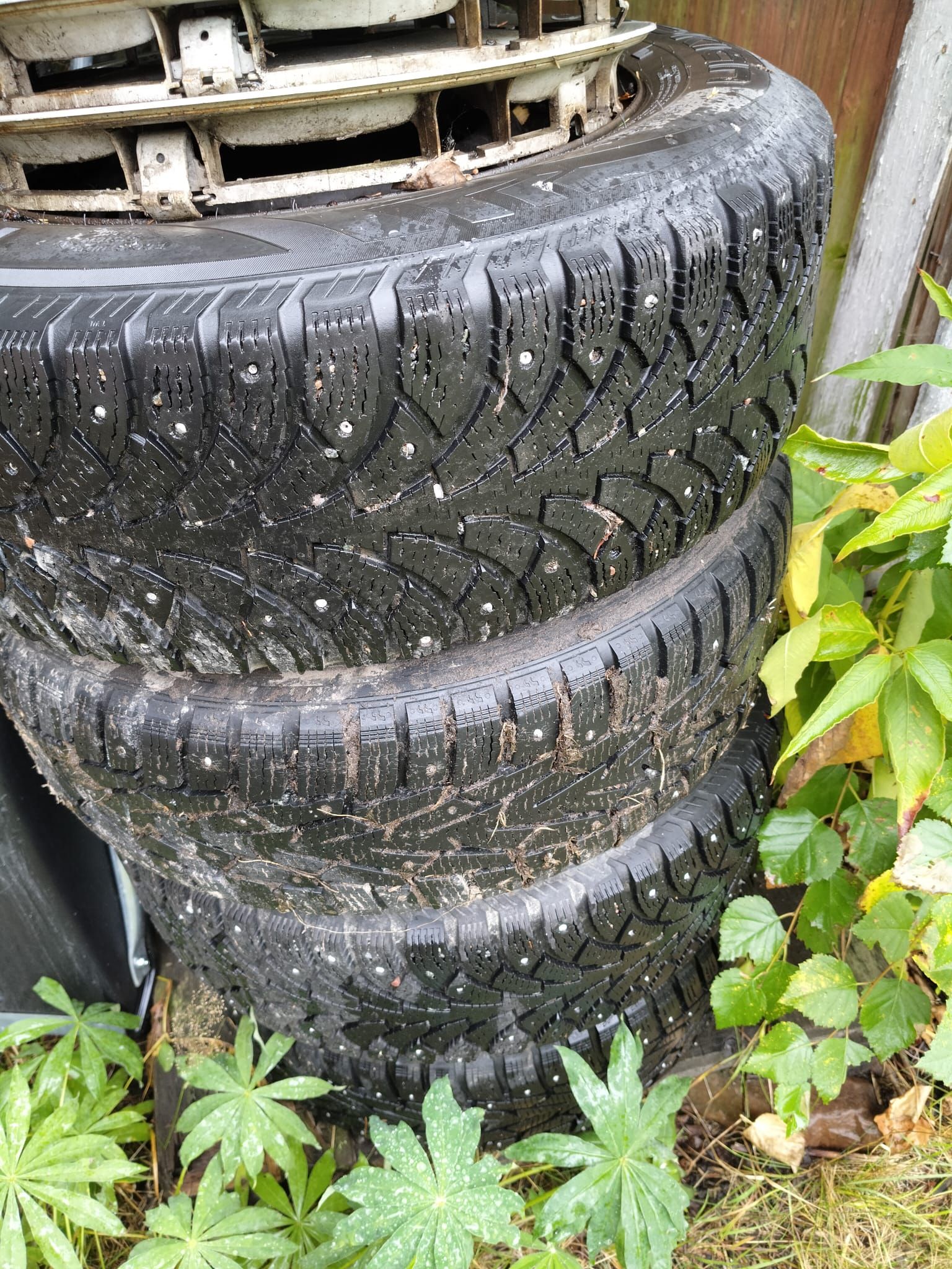Kuva 11/11