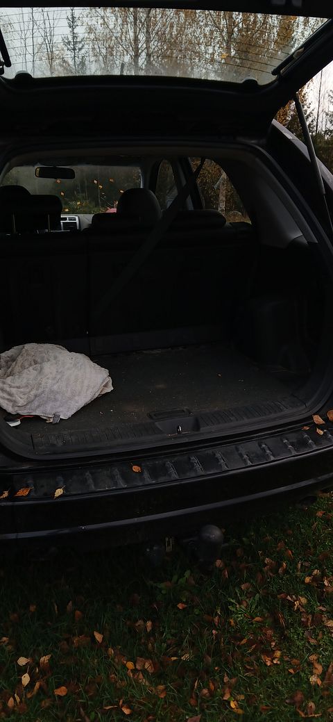 Image 7/14