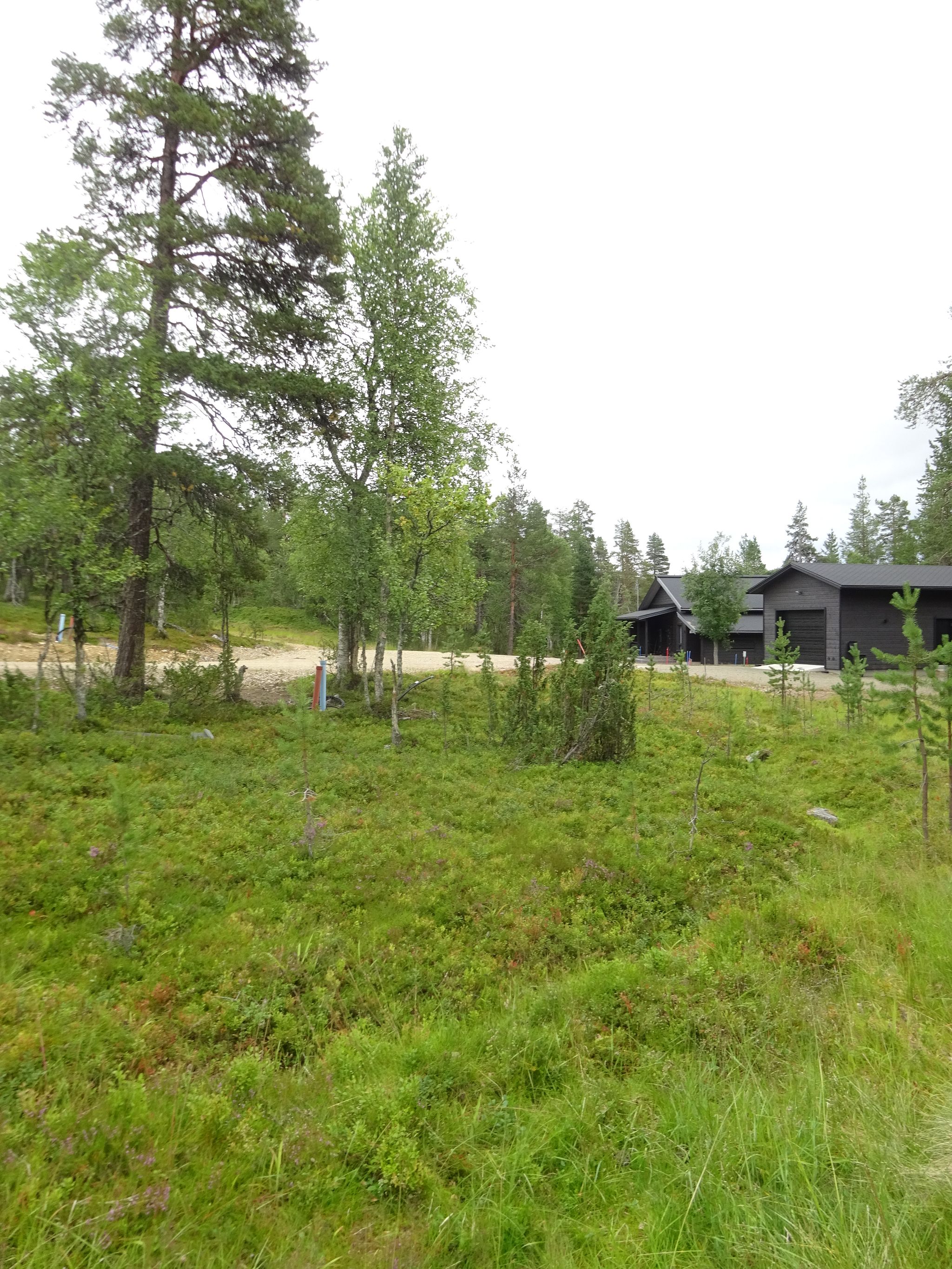 Image 3/9